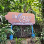 Dolphin Cove Ocho Rios