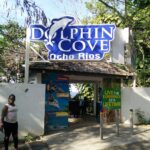 Dolphin Cove Ocho Rios