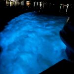 Luminous Lagoon Jamaica