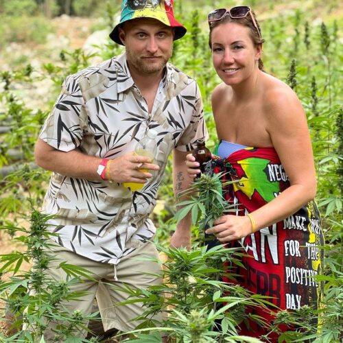 Weed farm in Jamaica